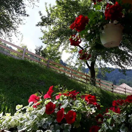 Casa Lucia Gasthof *